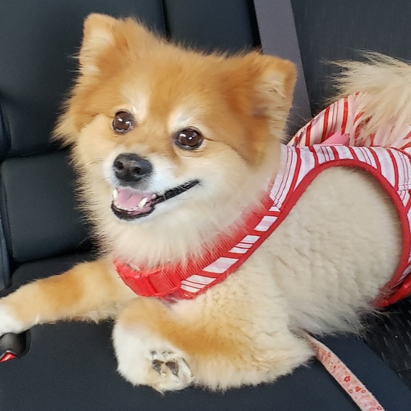 Meet your Posher, Sandra - Picture 2 of 4